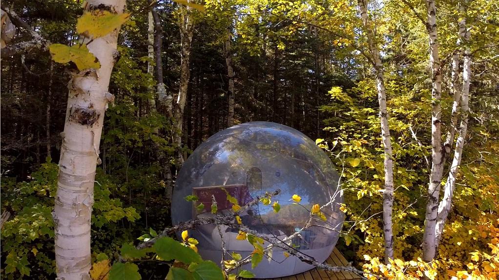 bulle camping insolite nature