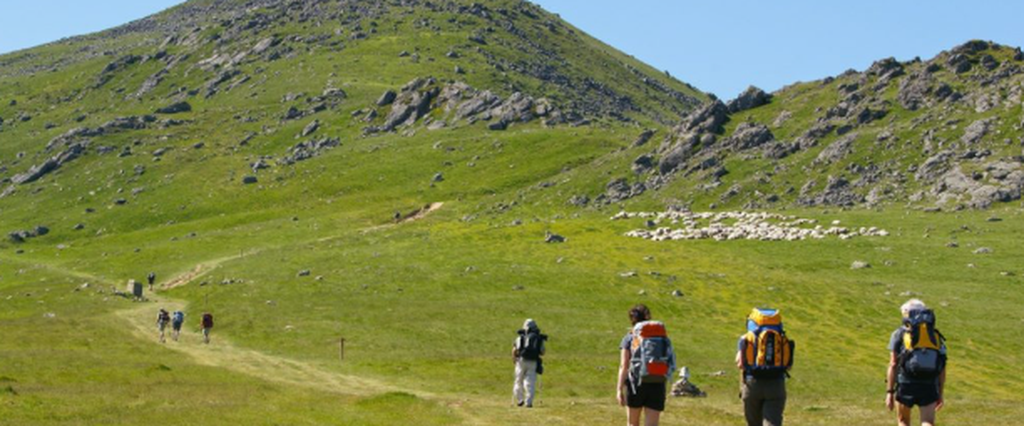 Randonneurs avec leurs sacs à dos sur un sentier verdoyant du chemin de Saint-Jacques-de-Compostelle.