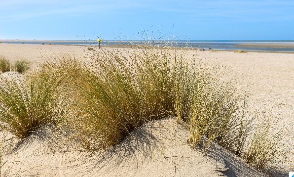 Plage vacances en Aquitaine 