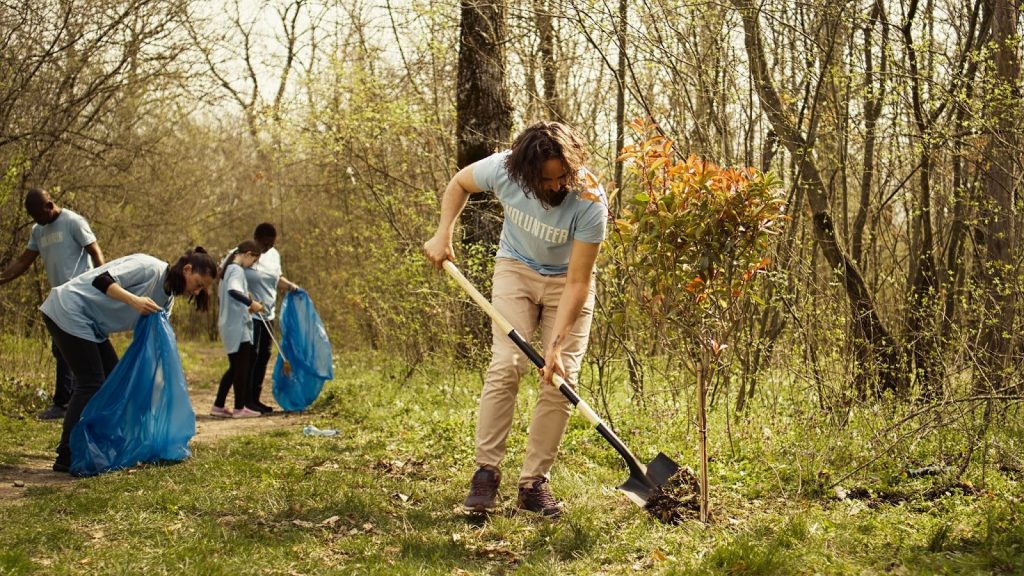 Jeunes bénévoles plantant un arbre et nettoyant les abords d’un camping en forêt.