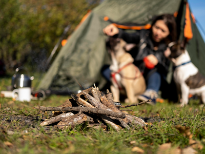 Femme avec deux chiens devant une tente en camping animaux acceptés.