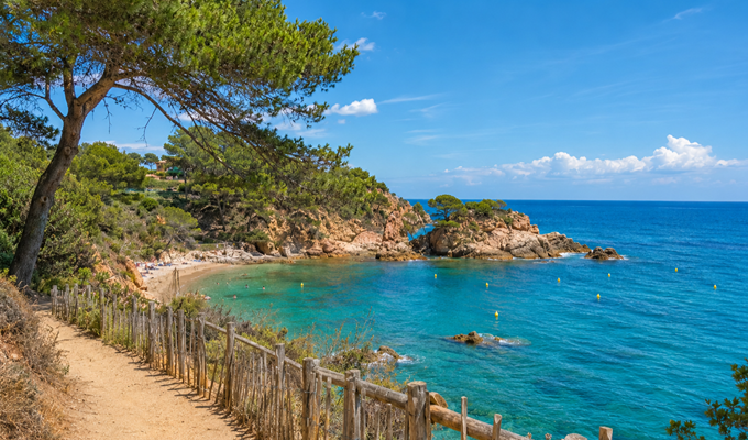Vue panoramique des falaises du littoral français dominant une mer turquoise, destination idéale pour des vacances en camping.